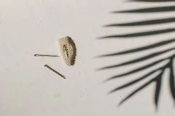 Boho Pearl Barrette And Hair Pin Set Accessories