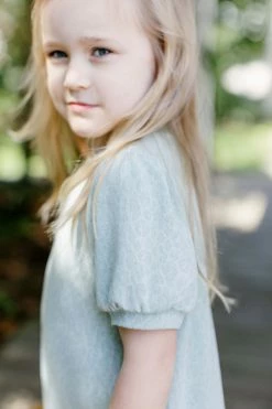 Hayden Los Angeles Summer Collection 'Chloe' Girl Leopard Print Shift Dress In Sage